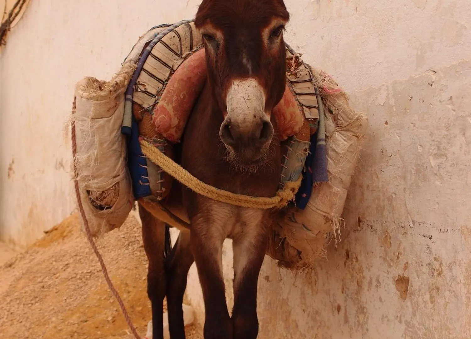 Maison d'hôtes Hotel Dar 7 Louyat à Fès